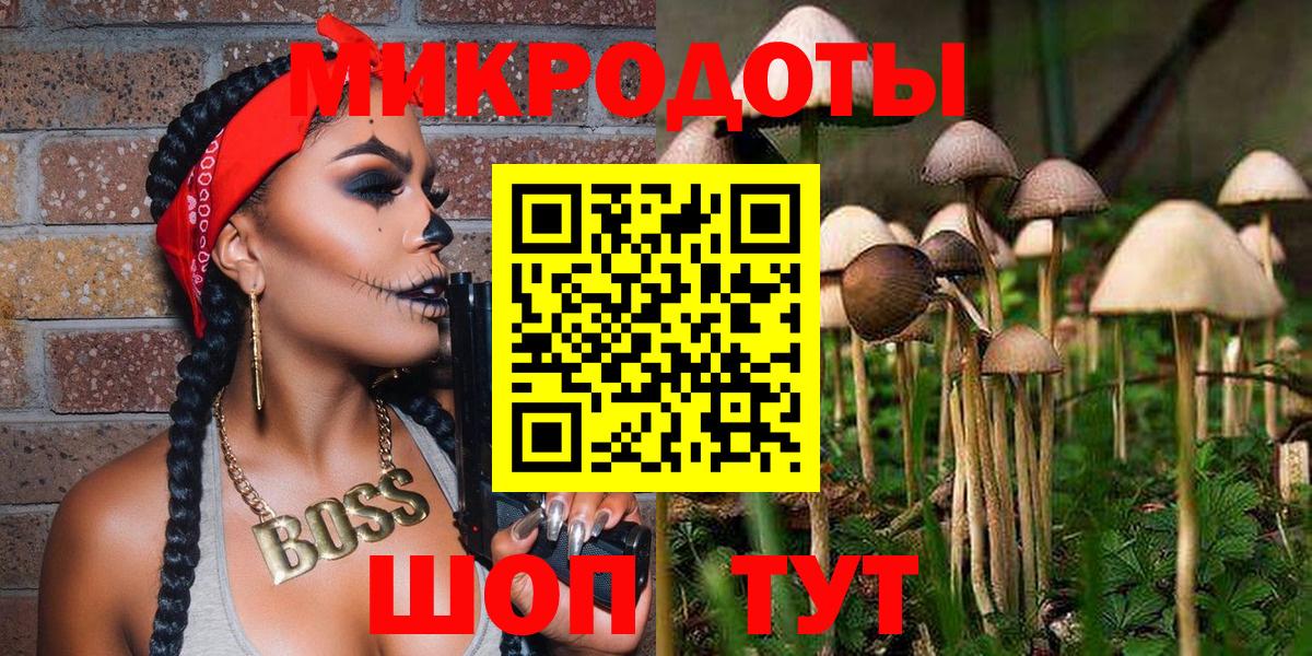 Псилоцибиновые грибы Psilocybine cubensis  что такое   Кушва  Вход с VPN 